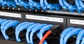 LAN Cable Connected to switch Royalty Free Stock Photo