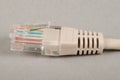 Lan cable and connector RJ45 Royalty Free Stock Photo