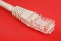 Lan cable and connector RJ45 Royalty Free Stock Photo