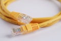 Lan cable internet connection network, rj45 connector ethernet cable Royalty Free Stock Photo