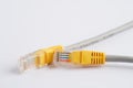 Lan cable internet connection network, rj45 connector ethernet cable Royalty Free Stock Photo