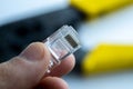 LAN ethernet rj45 connector in hand. Close up Royalty Free Stock Photo