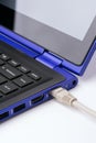LAN Internet cable plugged to laptop