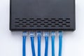 LAN network switch with ethernet cables plugged in Royalty Free Stock Photo