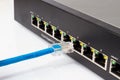 LAN network switch with ethernet cables plugging in Royalty Free Stock Photo