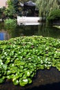 Lan Su Gardens, Portland Oregon, USA