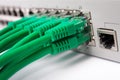 Lan Switch Royalty Free Stock Photo