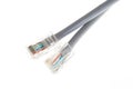 Lan telecommunication cable RJ45 on white background Royalty Free Stock Photo