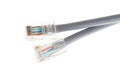 Lan telecommunication cable RJ45 on white background Royalty Free Stock Photo