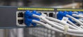 Lan utp cable plug in network switch Royalty Free Stock Photo