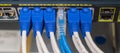Lan utp cable plug in network switch Royalty Free Stock Photo