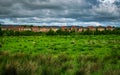 Lanarkshire landscape on a summer day.