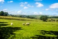 Lancashire Countryside near Colne