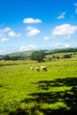 Lancashire Countryside near Colne