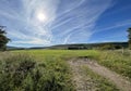 Lancashire evening landscape, with fields, farms and hills near, Bull Lane, Newton, UK