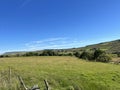 Lancashire landscape, with trees and hills near, Downham Road, Chatburn, UK