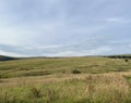 Lancashire landscape, with wild plants and hills near, Delph, UK