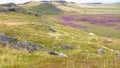 Moors with gritstone outcrops and swathes of heather. Royalty Free Stock Photo