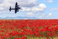 Lancaster bomber passing over a field of poppies