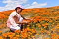 Lancaster, Ca / April 12, 2019 - Admiring the golden poppies in full bloom covering the hillsides in the Antelope Valley with brig