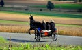 Lancaster County, PA: Amish Family Riding in Buggy