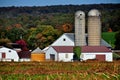 Lancaster County, PA: Amish Farm with Silos