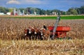 Lancaster County, PA: Amish Farmer in Field