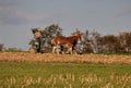 Lancaster County, PA: Amish Farmer with Horses