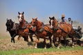 Lancaster County, PA: Amish Farmer Plowing Field