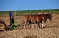 Lancaster County, PA: Amish Farmer Tilling Field