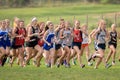 High School Girls Cross Country Meet Royalty Free Stock Photo