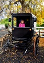 Lancaster, PA: Little Girl in Amish Buggy