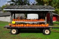 Lancaster, PA: Pumpkin Display at Landis Museum