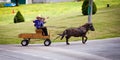 Lancaster, PA / USA - 7/4/2013: Amish kids riding a retro carriage on the street