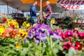 LANCASTER, PENNSYLVANIA - MARCH 21, 2018: Flowers sale. Flowers shop at outdoors