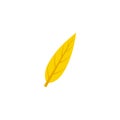 Lanceolate maple leaf flat icon