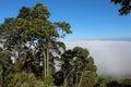The land above the clouds Royalty Free Stock Photo