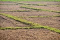 Land agriculture soil and grass