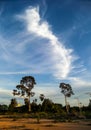 Land and blur cloud