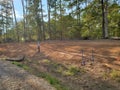 Land cleared ready for construction