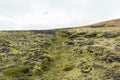 Land covered in green fresh moss seen while trekking in Iceland Royalty Free Stock Photo