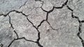 Land is cracked due to lack of water on paddy fields Royalty Free Stock Photo