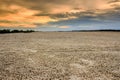 Land with dry and cracked ground. Desert Royalty Free Stock Photo