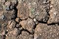 Land with dry and cracked ground. Global warming background Royalty Free Stock Photo