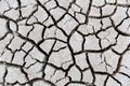Land with dry and cracked ground. Drought concept. Global warming effect Royalty Free Stock Photo