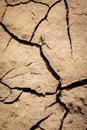 Land with Dry and Cracked Ground, with Young Plants Growing out. Background Texture. Top View