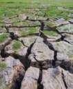 Land with dry cracked mud ground Royalty Free Stock Photo