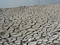 Land erosion after drainage of a reservoir.