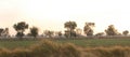 Land and fields of Punjab Royalty Free Stock Photo