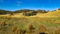 Land full of Tussock and rolling hills in New South Wales Australia Royalty Free Stock Photo